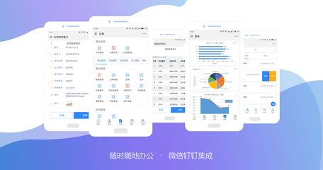 最新版Workfine 企業辦公系統快速定制開發與應用平臺V2.4.1破解